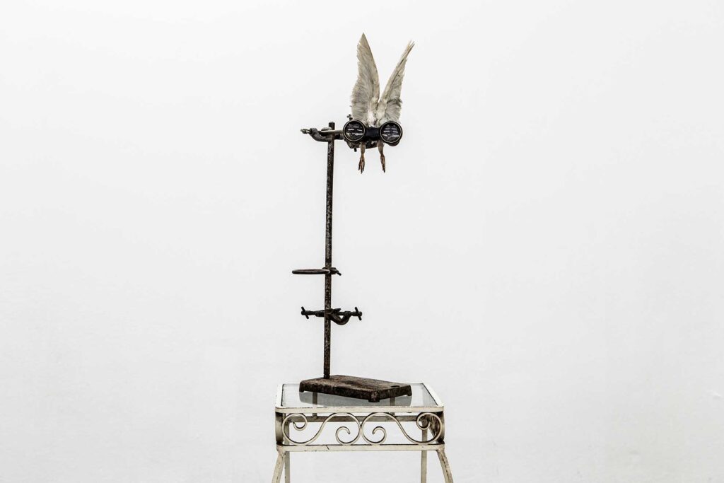 flynoculars - binoculars with feathers