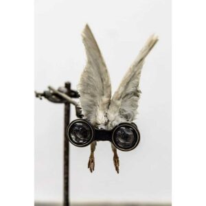 flynoculars - binoculars with feathers