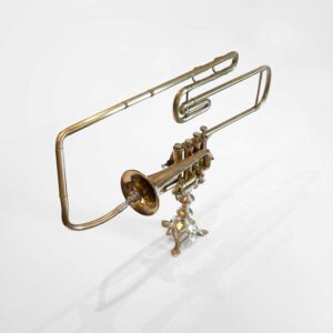 gnarly trumpet art