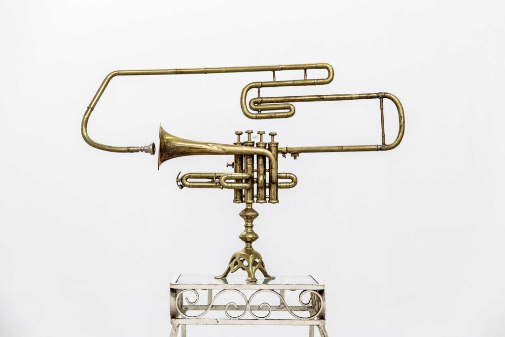 gnarly trumpet art