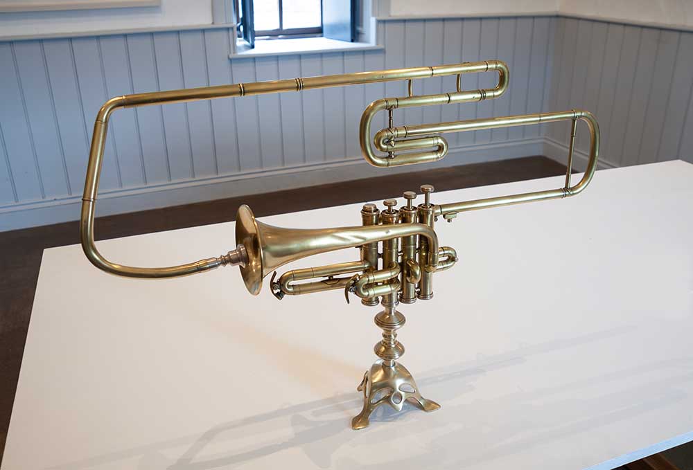 gnarly trumpet art