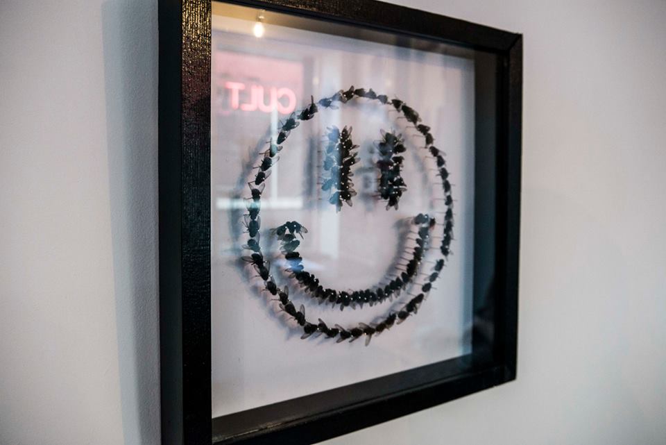 Framed Smile Emoji made of house flies